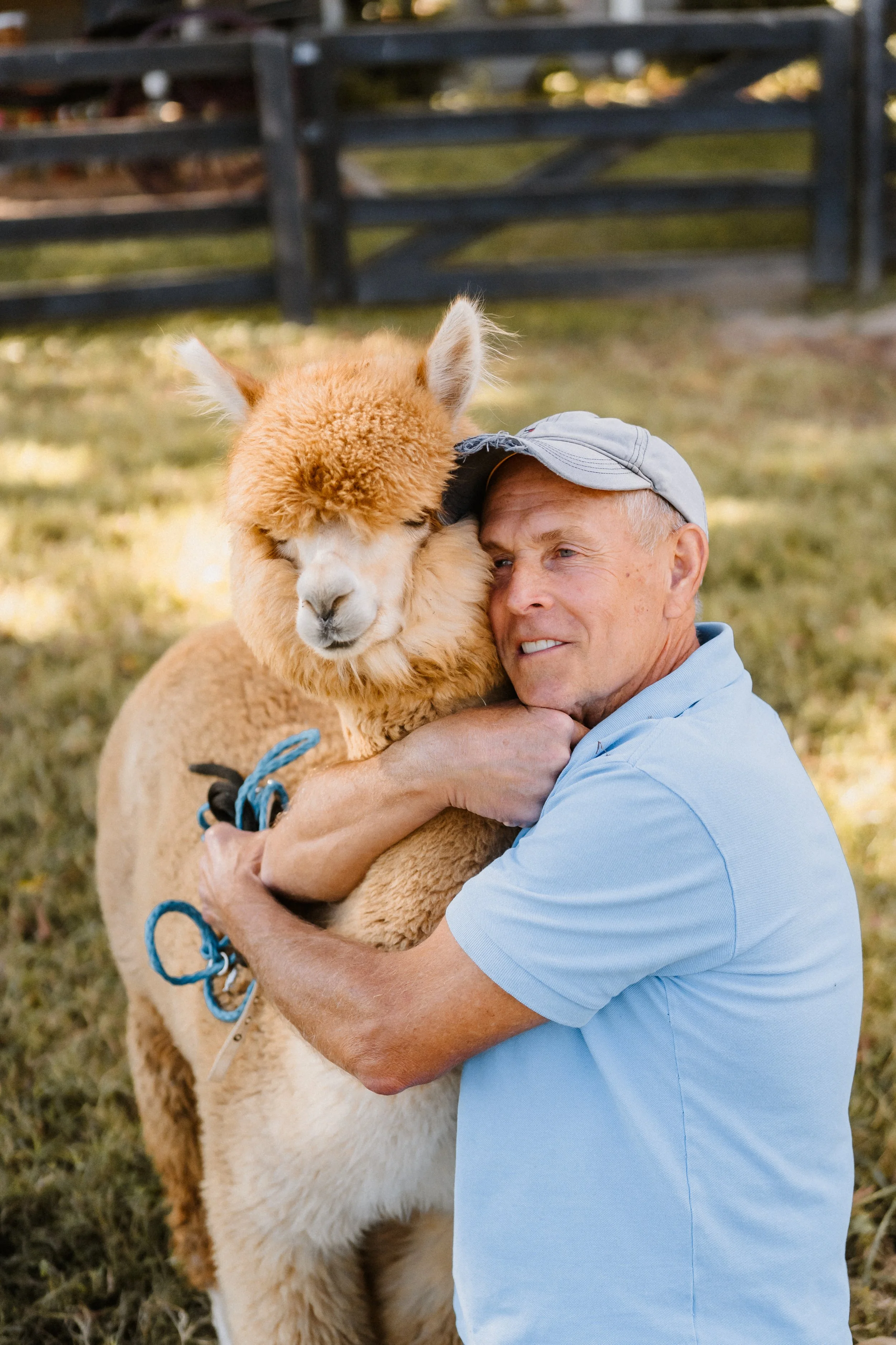 Coleman Valley Alpaca Farm | Things to do in Franklin, TN